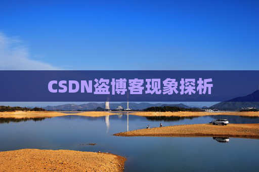 CSDN盗博客现象探析